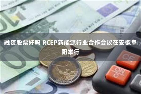 融资股票好吗 RCEP新能源行业合作会议在安徽阜阳举行