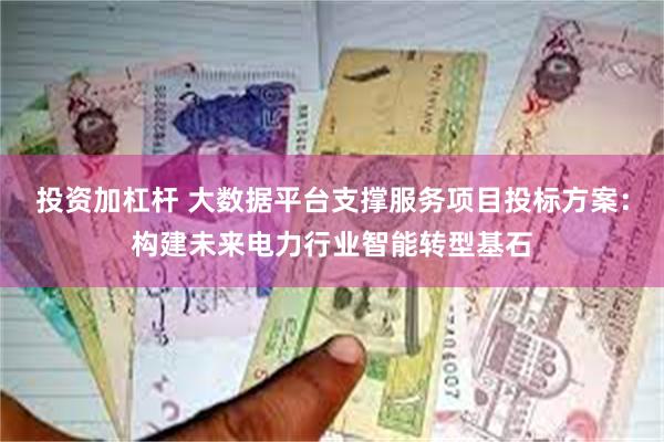 投资加杠杆 大数据平台支撑服务项目投标方案：构建未来电力行业智能转型基石