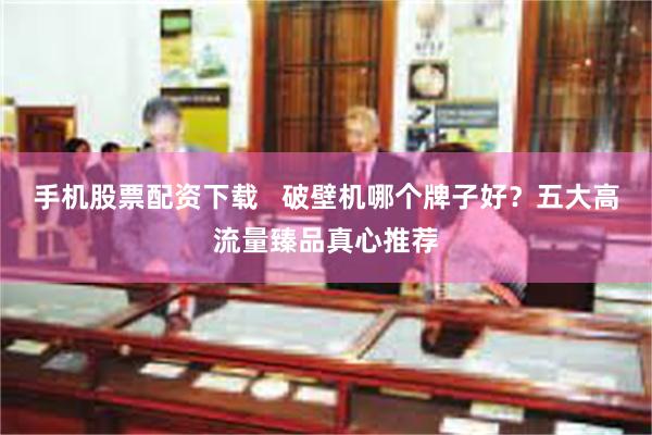 手机股票配资下载   破壁机哪个牌子好？五大高流量臻品真心推荐