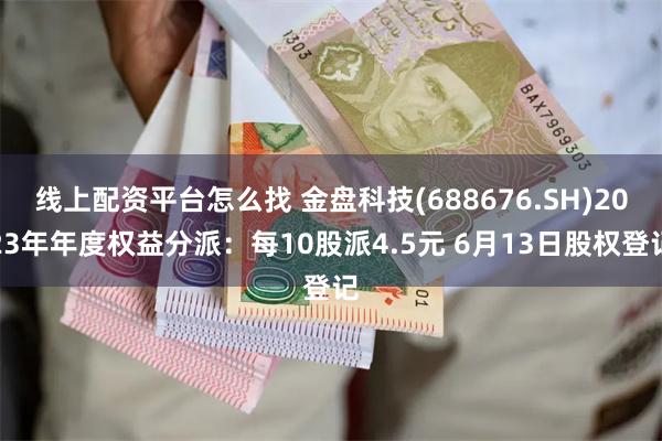 线上配资平台怎么找 金盘科技(688676.SH)2023年年度权益分派：每10股派4.5元 6月13日股权登记