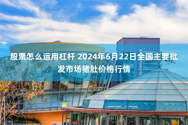 股票怎么运用杠杆 2024年6月22日全国主要批发市场猪肚价格行情