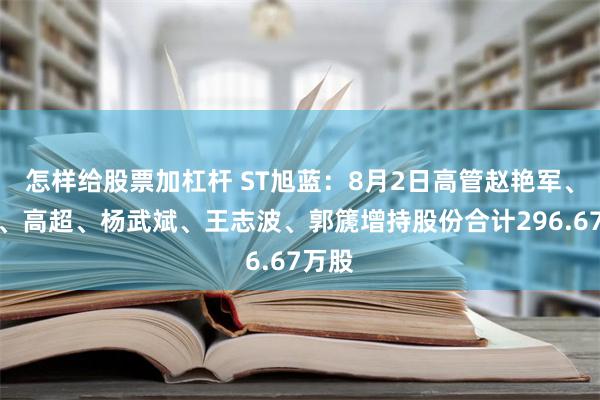 怎样给股票加杠杆 ST旭蓝：8月2日高管赵艳军、丁锋、高超、杨武斌、王志波、郭篪增持股份合计296.67万股