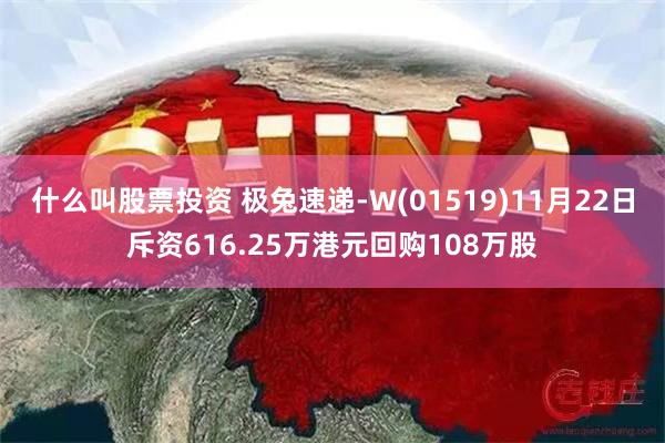 什么叫股票投资 极兔速递-W(01519)11月22日斥资616.25万港元回购108万股