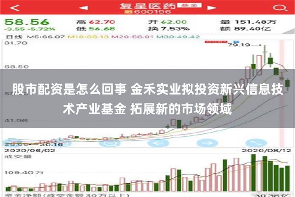 股市配资是怎么回事 金禾实业拟投资新兴信息技术产业基金 拓展新的市场领域