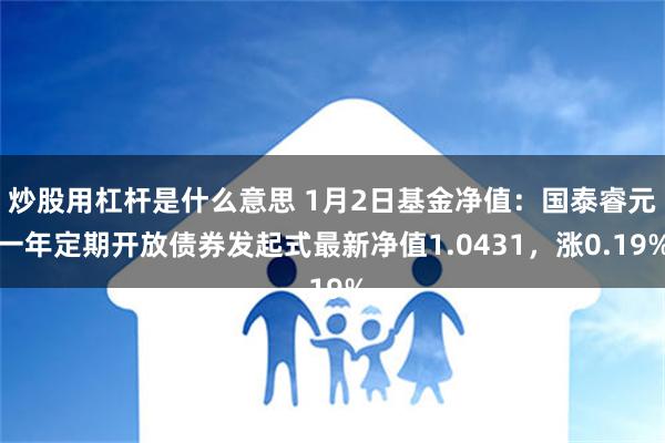 炒股用杠杆是什么意思 1月2日基金净值：国泰睿元一年定期开放债券发起式最新净值1.0431，涨0.19%