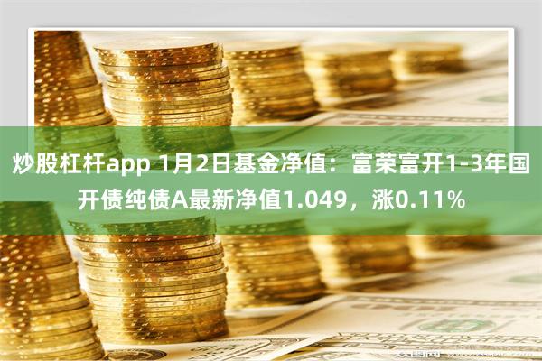 炒股杠杆app 1月2日基金净值：富荣富开1-3年国开债纯债A最新净值1.049，涨0.11%