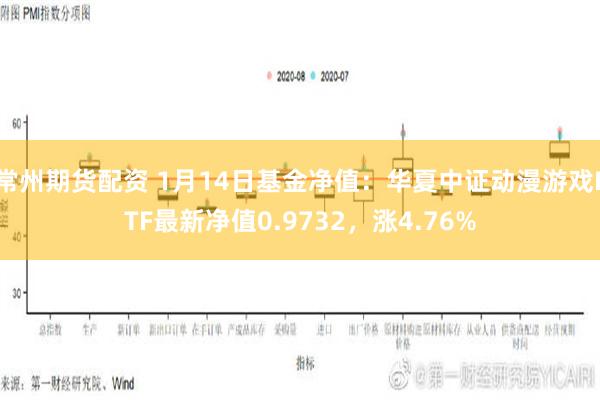 常州期货配资 1月14日基金净值：华夏中证动漫游戏ETF最新净值0.9732，涨4.76%