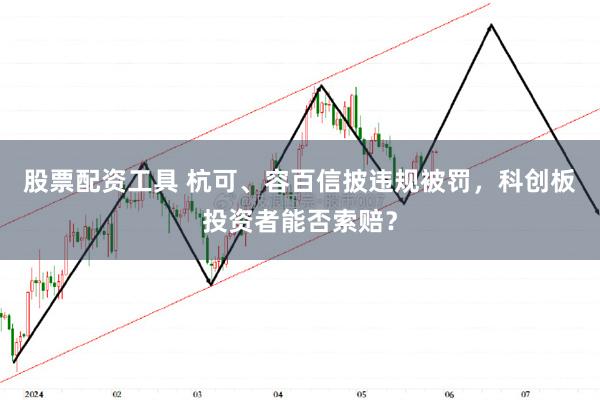 股票配资工具 杭可、容百信披违规被罚，科创板投资者能否索赔？