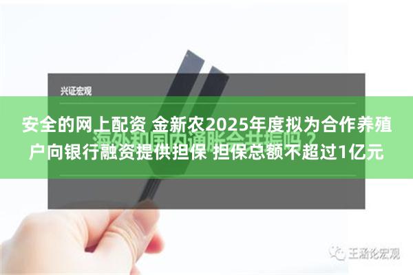 安全的网上配资 金新农2025年度拟为合作养殖户向银行融资提供担保 担保总额不超过1亿元